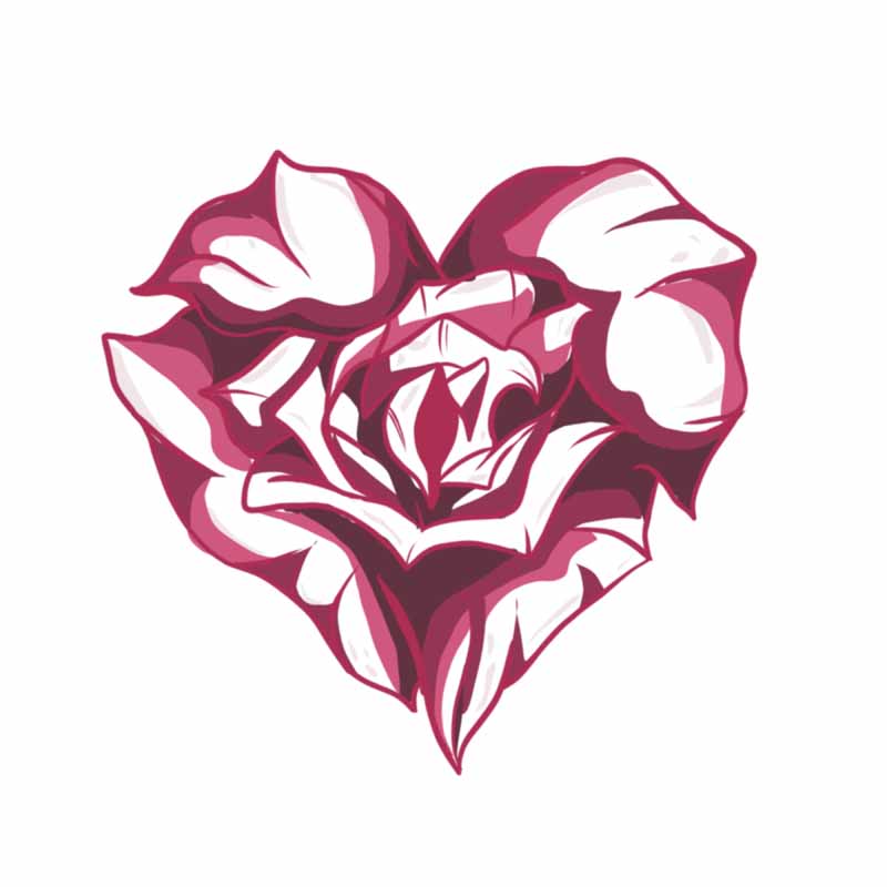 A dark pink and white heart-shaped rose illustration, the kind of design found at a tattoo studio in North Wales.