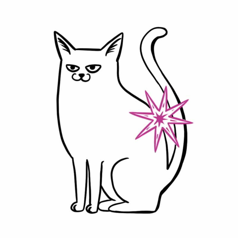 Line drawing of a grumpy-looking cat with a pink starburst symbol over its hip, in the style of a North Wales tattoo studio.