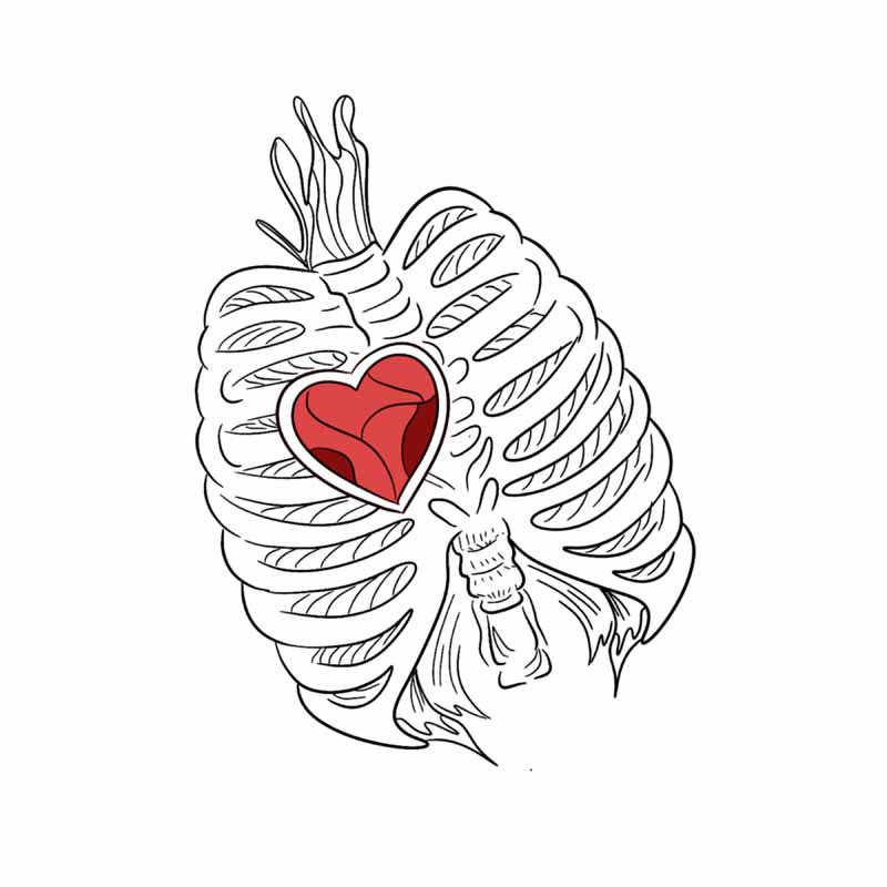 A line drawing of a human rib cage containing a red anatomical heart, with a small moth perched on the sternum, captured in the style of a North Wales tattoo studio.